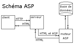 Schema