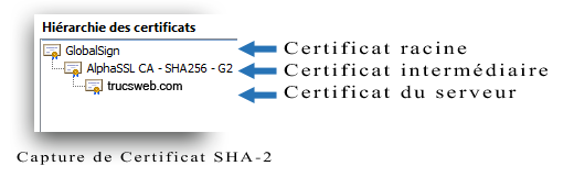 Exemple de chaine de confiance SSL (SHA-2)