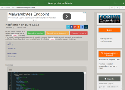Notification en pure CSS3
