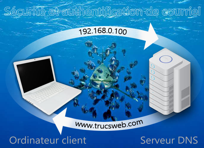 Cycle du DNS