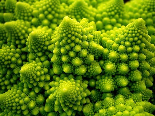 Fractal