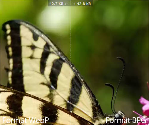 Comparaison : Image WebP vs BPG