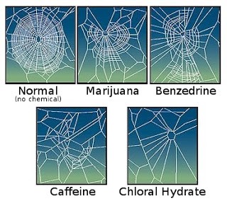 Moteurs de recherches - Les araignées de la toile