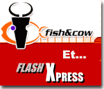 Un réseau francophone de ressources sur le Flash - Un bon départ